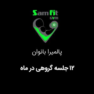 شهریه 12 جلسه گروهی در ماه پالمیرا بانوان
