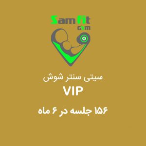 شهریه 156 جلسه در 6 ماه VIP سیتی سنتر شوش