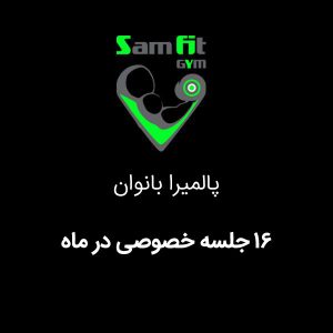 شهریه 16 جلسه خصوصی در ماه پالمیرا بانوان